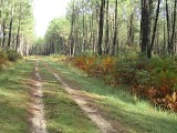 Chemin