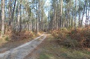 Chemin 