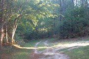 Chemin 