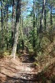 Chemin