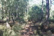 Chemin
