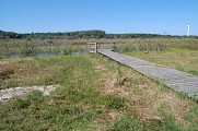 Ponton