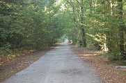 Chemin