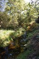 Ruisseau de Bouhettes