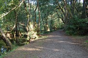 Chemin