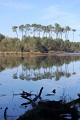 Etang d'Abesse
