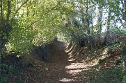 Chemin