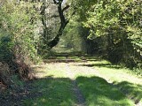 Chemin