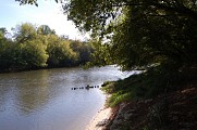 L'Adour