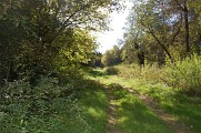 Chemin en bord d'Adour