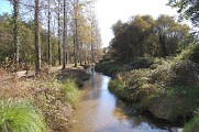 Ruisseau du Jouanin
