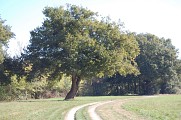 Chemin de halage en bord d'Adour