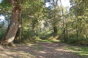 Chemin de halage