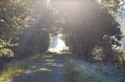 Sentier