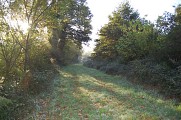 Chemin de halage