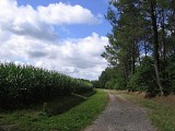 Chemin