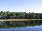 Plan d'eau