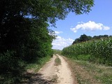 Vers le Moulin de Tey