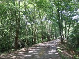 Chemin