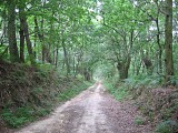 Chemin