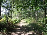 Chemin