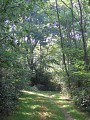 Chemin