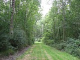 Sentier
