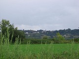 Vue