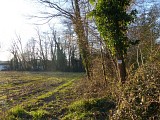 Parcelle cultivée
