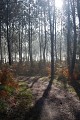 Chemin