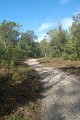 Forêt