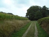 Chemin