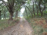 Chemin