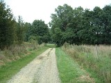 Chemin empierré