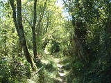 Vallon