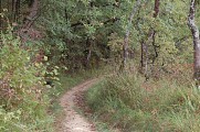 Sentier