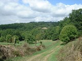 Vallon