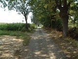 Chemin