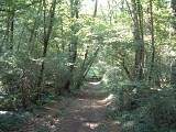 Vallon