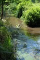 Ruisseau le Geloux