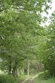 Chemin de Cézaron