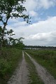 Chemin
