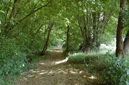 Chemin entre Adour et Barthe