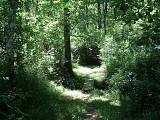 Chemin