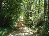Chemin 