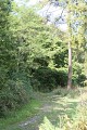 Chemin