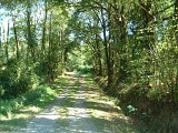 Chemin