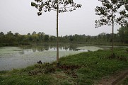 Etang à Gousse