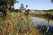 Etang de Bidot