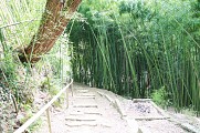 Descente fontaine des 100 marches